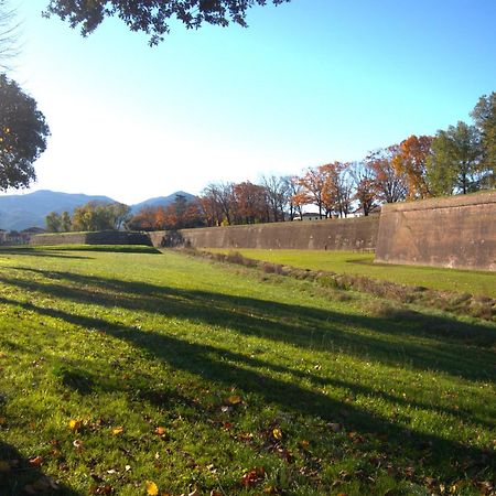 Appartamento Via Grandi - Free Gated Parking - 5 Minutes From Center Лукка Екстер'єр фото